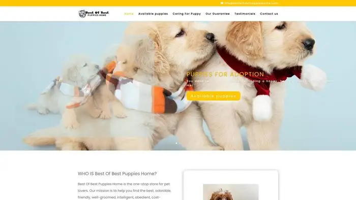 Screenshot of