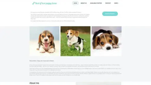 Screenshot of