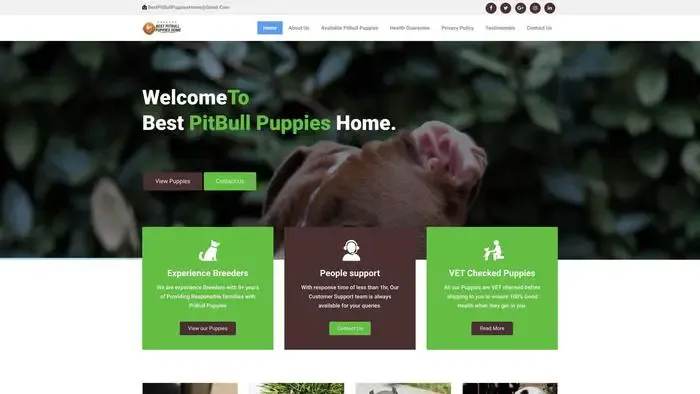 Screenshot of