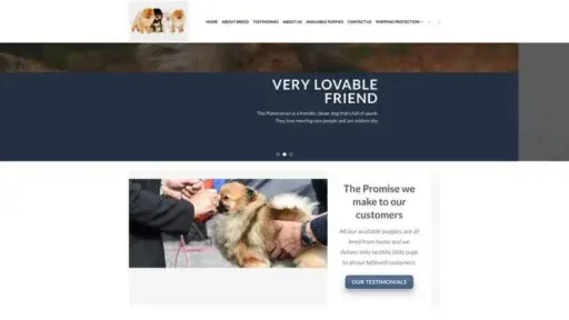 Screenshot of