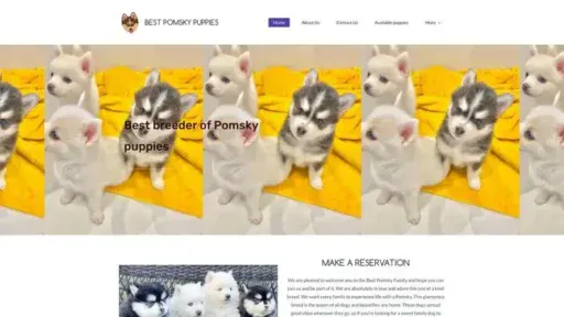 Screenshot of