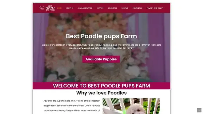 Screenshot of