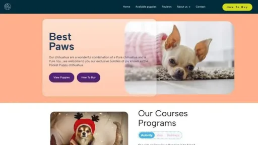 Screenshot of