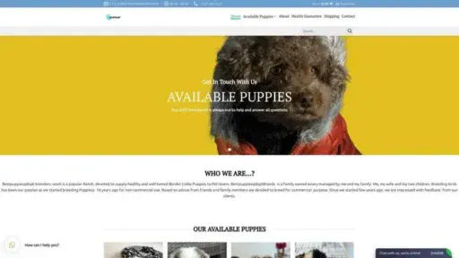 Screenshot of
