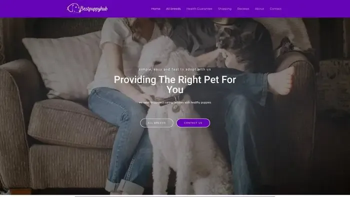 Screenshot of