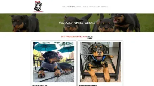 Screenshot of