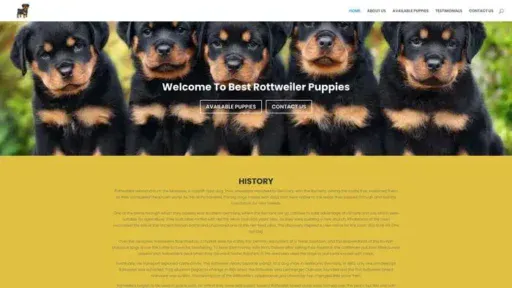 Screenshot of