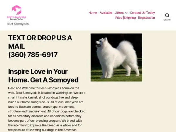 Screenshot of