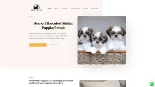 Screenshot of