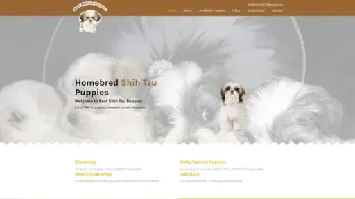 Screenshot of