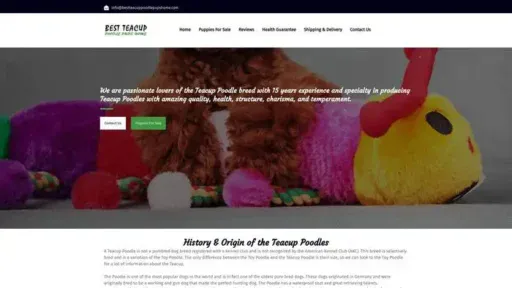 Screenshot of