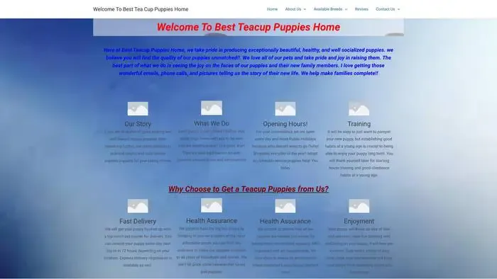 Screenshot of