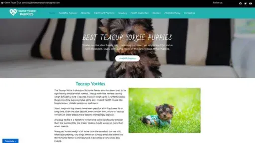 Screenshot of