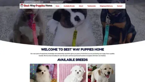 Screenshot of