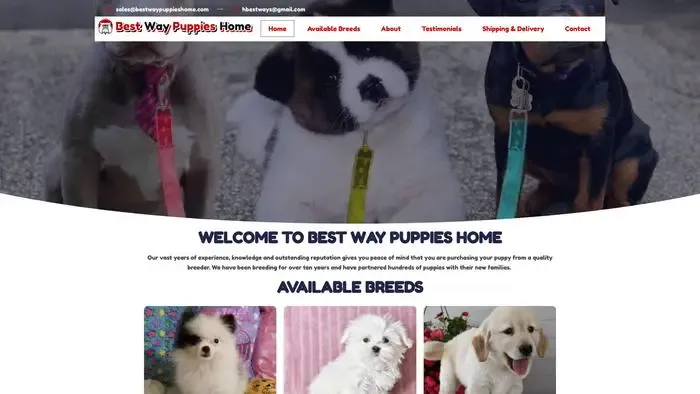 Screenshot of