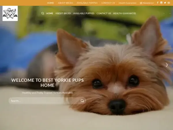 Screenshot of