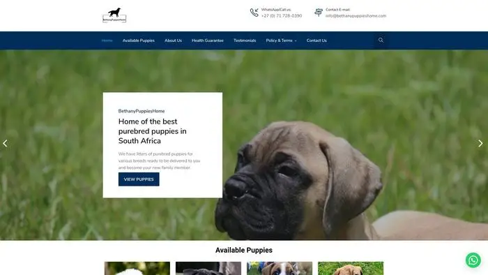 Screenshot of