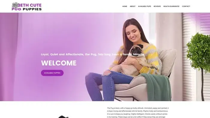 Screenshot of