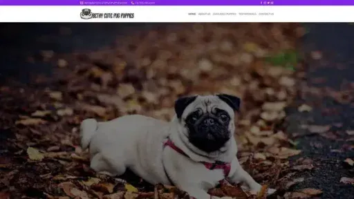 Screenshot of