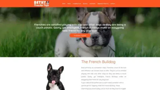 Screenshot of