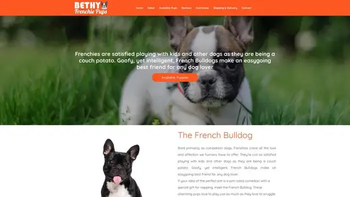 Screenshot of