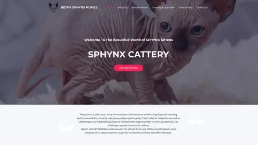 Screenshot of