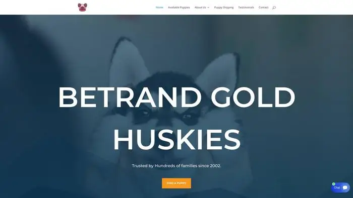 Screenshot of