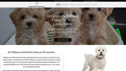 Screenshot of
