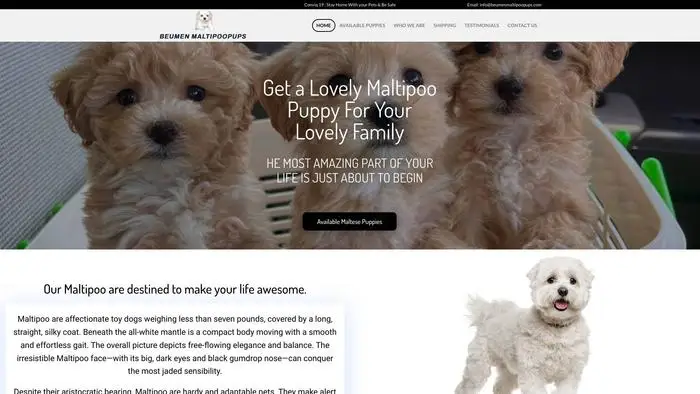Screenshot of