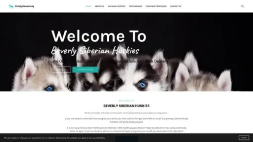 Screenshot of