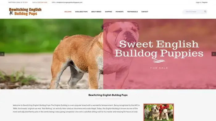 Screenshot of