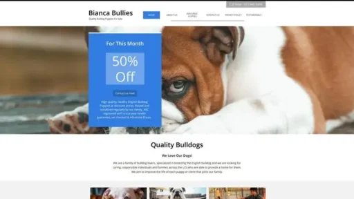 Screenshot of