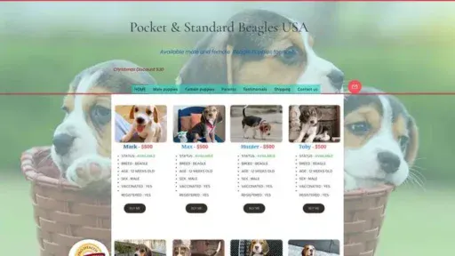 Screenshot of|