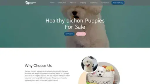 Screenshot of
