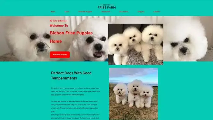 Screenshot of