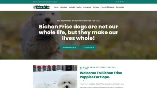 Screenshot of