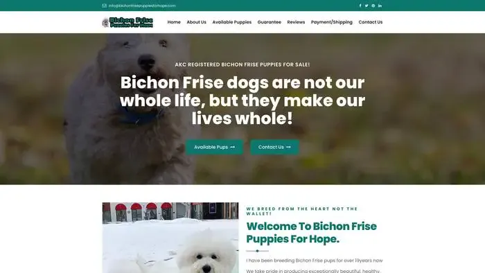 Screenshot of