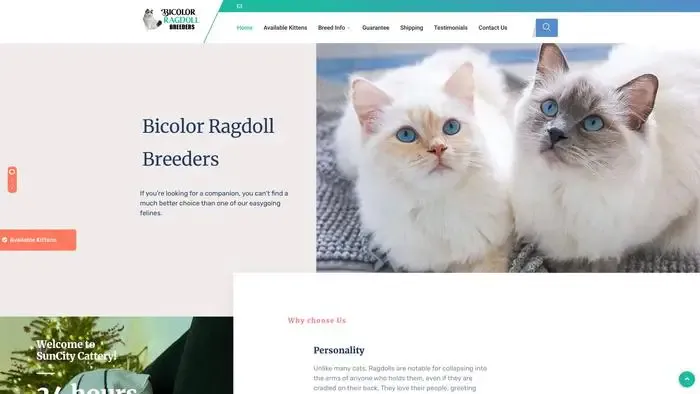 Screenshot of