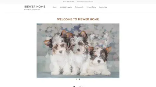 Screenshot of