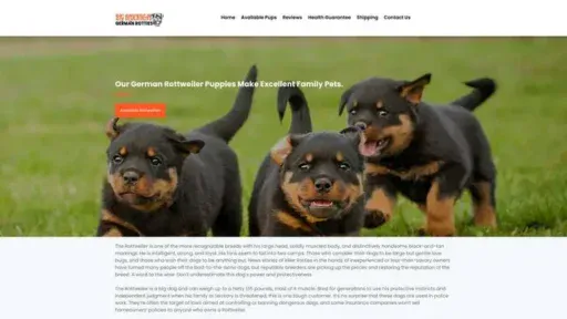 Screenshot of