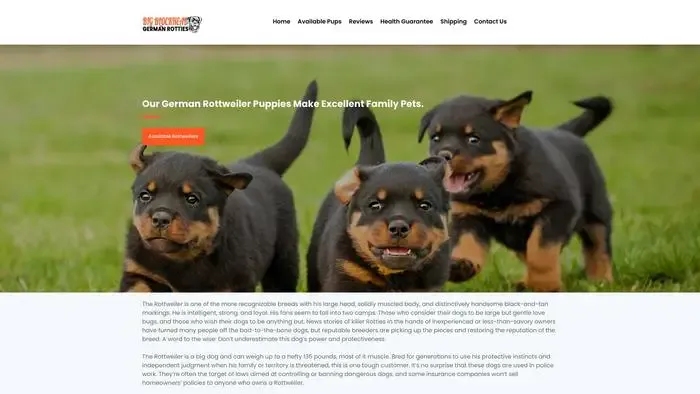 Screenshot of
