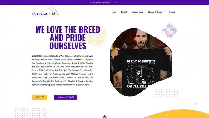 Screenshot of