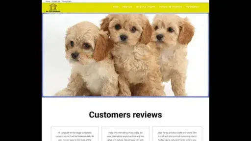 Screenshot of
