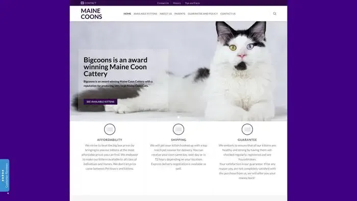 Screenshot of