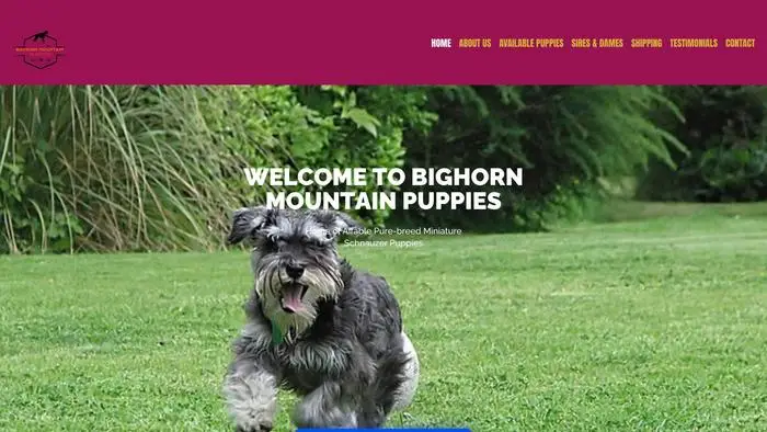 Screenshot of