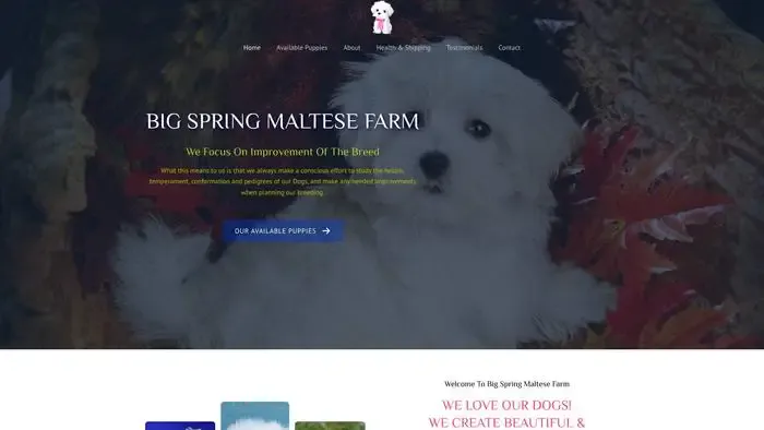 Screenshot of