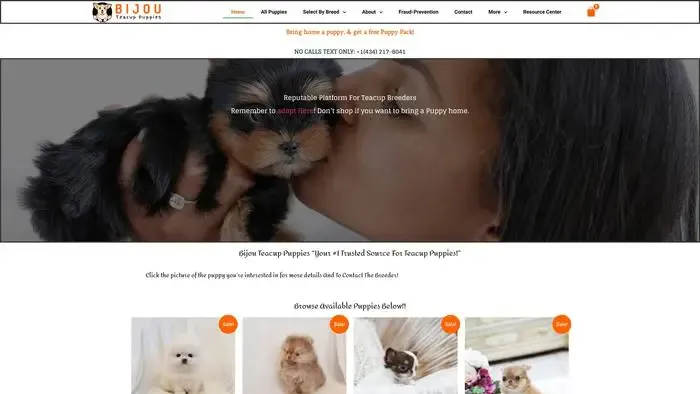 Screenshot of
