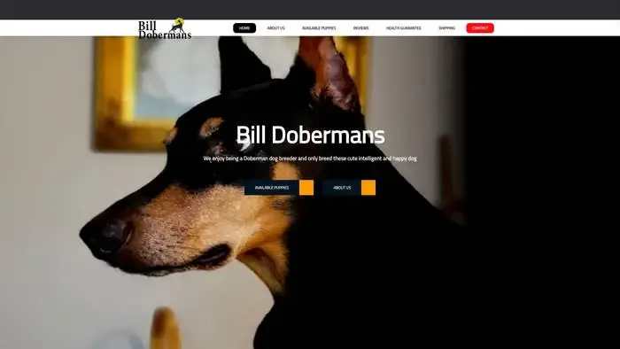 Screenshot of
