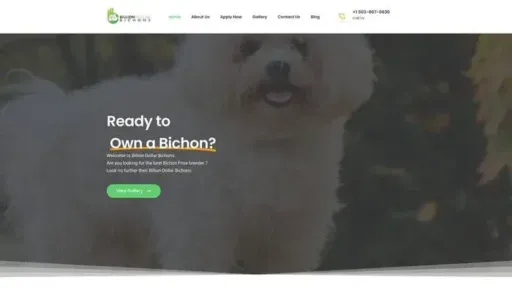 Screenshot of