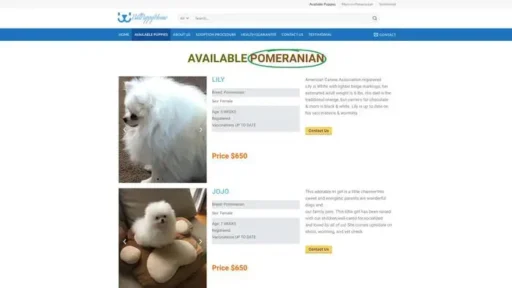 Screenshot of